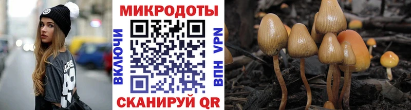 KRAKEN ONION  хочу   Верхняя Салда  Галлюциногенные грибы мицелий 